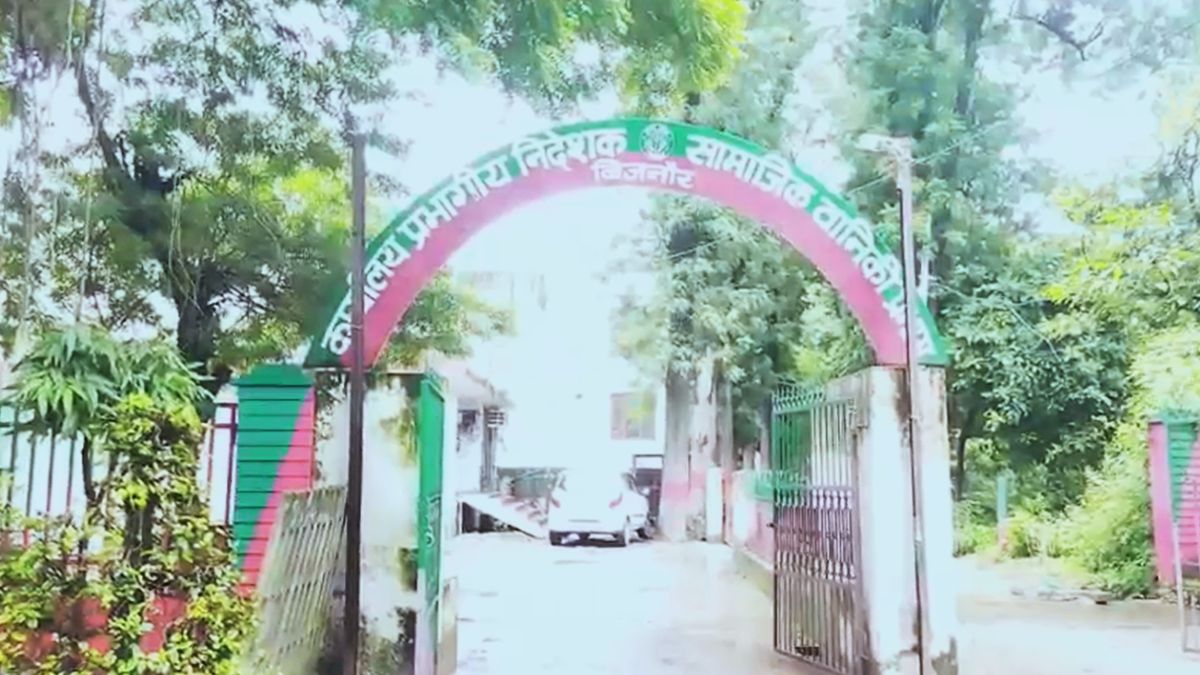 bijnor six owl chicks rescued forest department feeds chicken daily