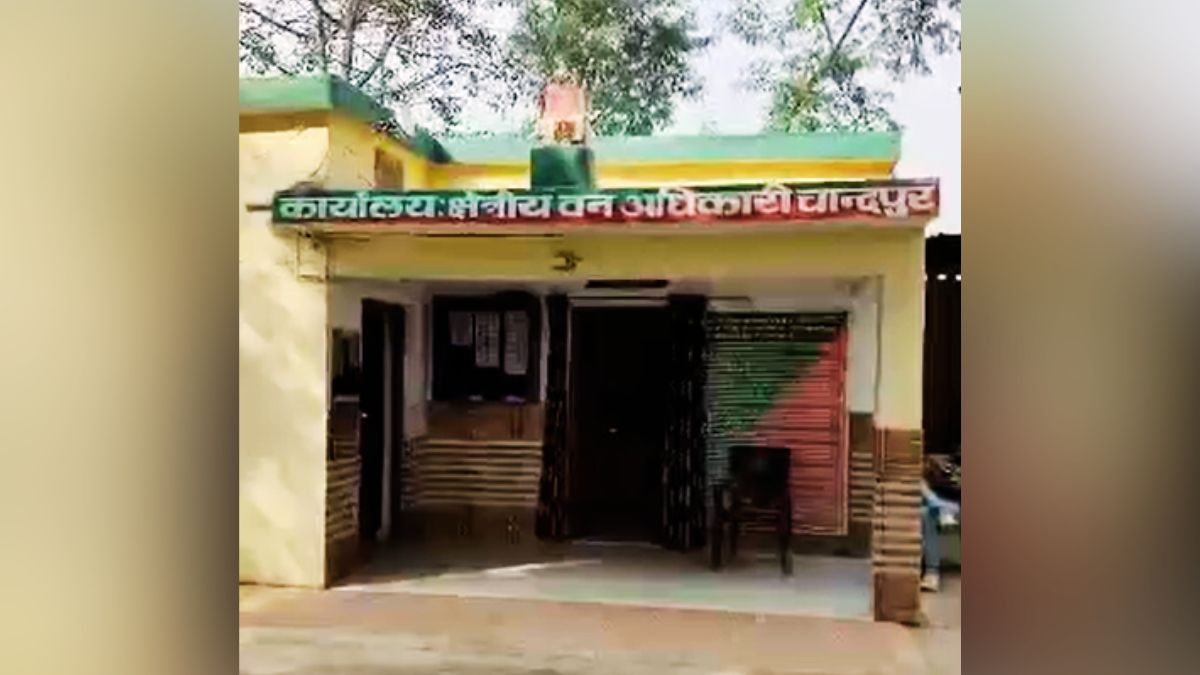 bijnor six owl chicks rescued forest department feeds chicken daily