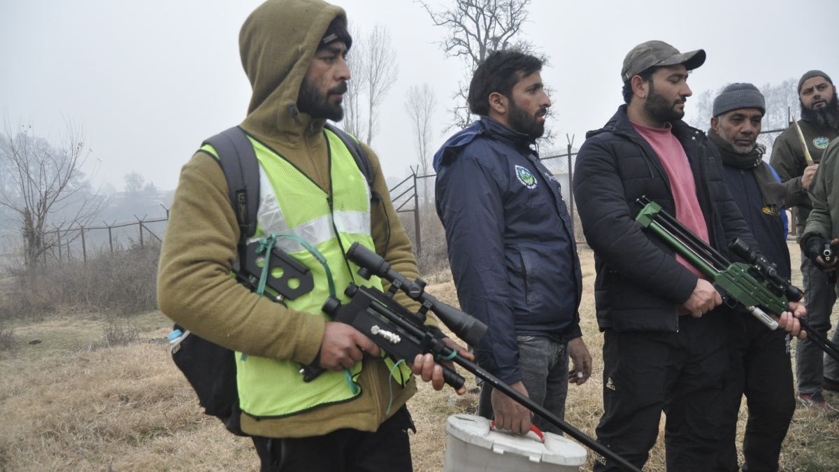 black bear sightings in srinagar nigeen lake to nit ku operation on black bear sightings in srinagar nigeen lake to nit ku operation on