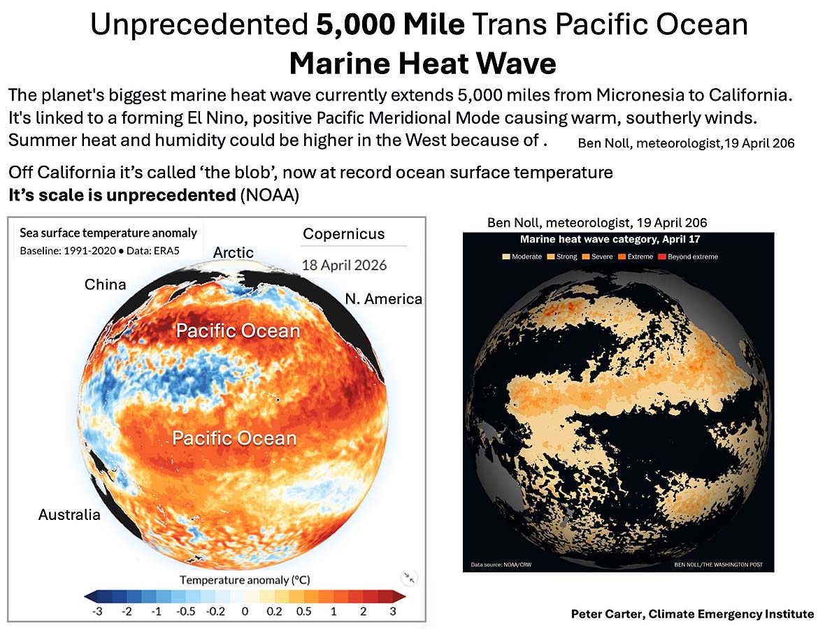 El Nino affect round the year weather El Nino affect round the year weather