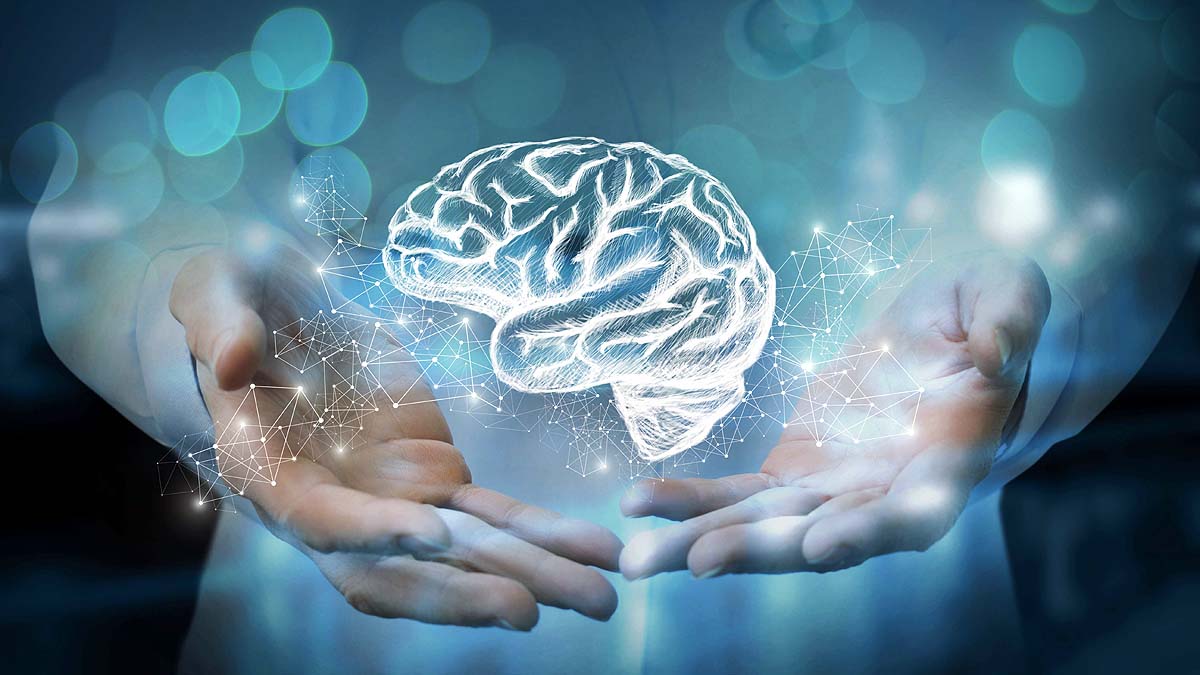 Brain Changes Four Times Brain Changes Four Times