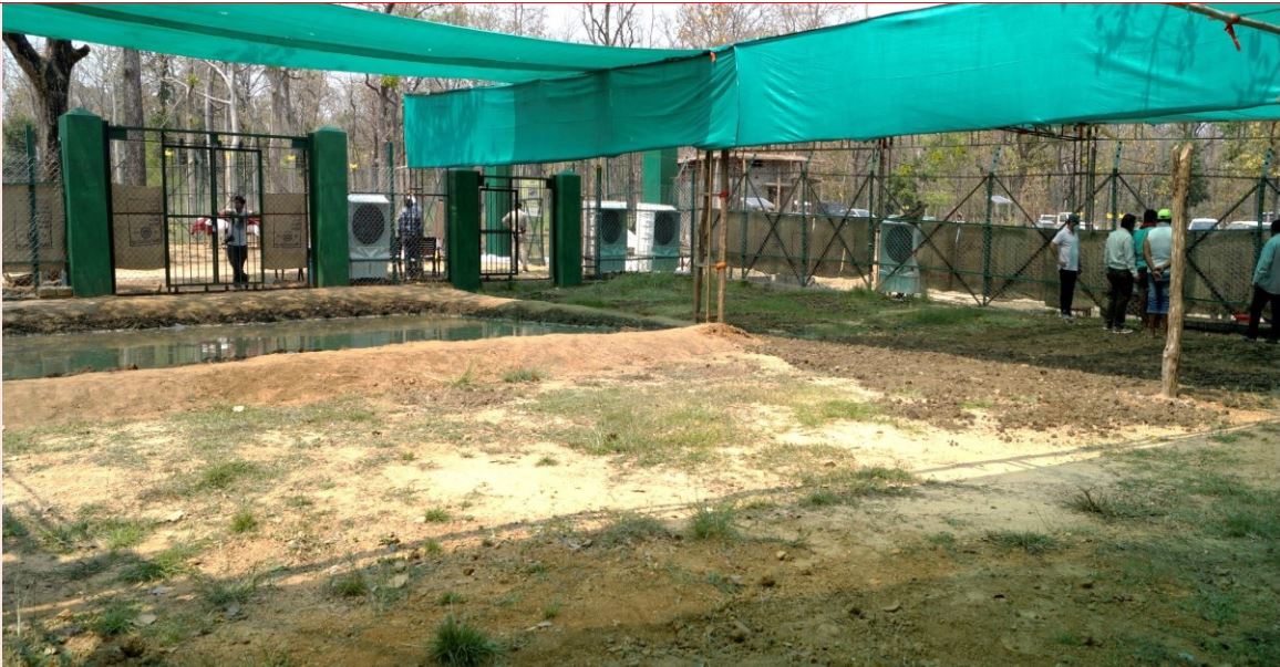 फाइल फोटो