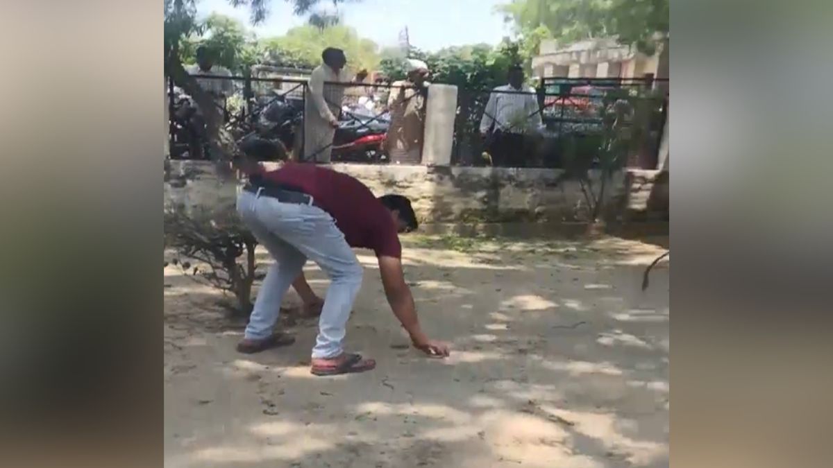 Bulandshahr 500 Rupee Notes Rained Monkey Throws Cash Video Viral Bulandshahr 500 Rupee Notes Rained Monkey Throws Cash Video Viral