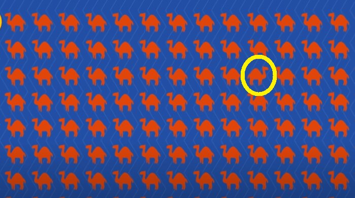 Optical Illusion Quiz Optical Illusion Quiz