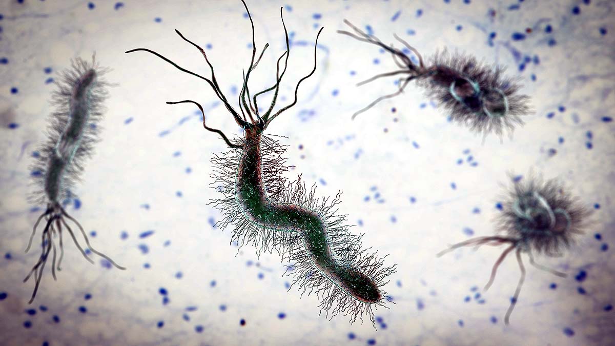 Cancer Risk, 5 Infections Cancer Risk, 5 Infections