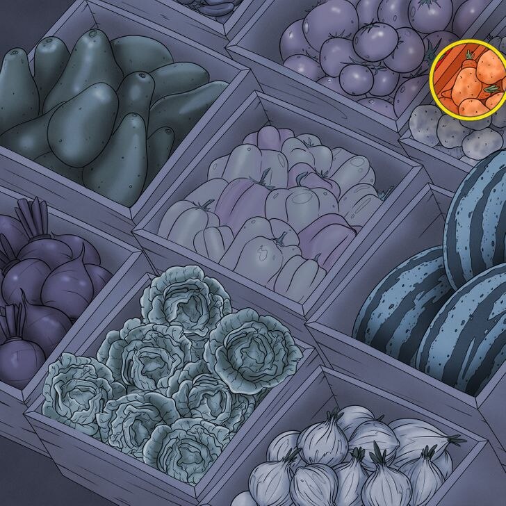 Optical Illusion Quiz Optical Illusion Quiz