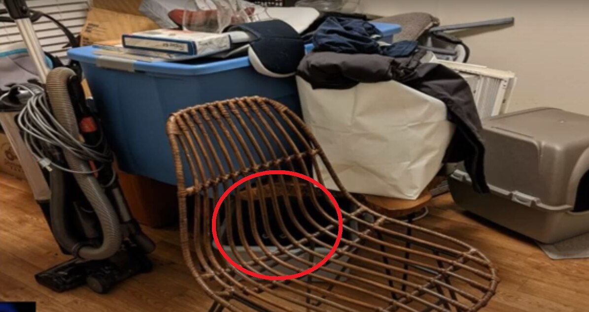 Optical Illusion Quiz (Pic Credit: Quizzes Youtube) Optical Illusion Quiz (Pic Credit: Quizzes Youtube)