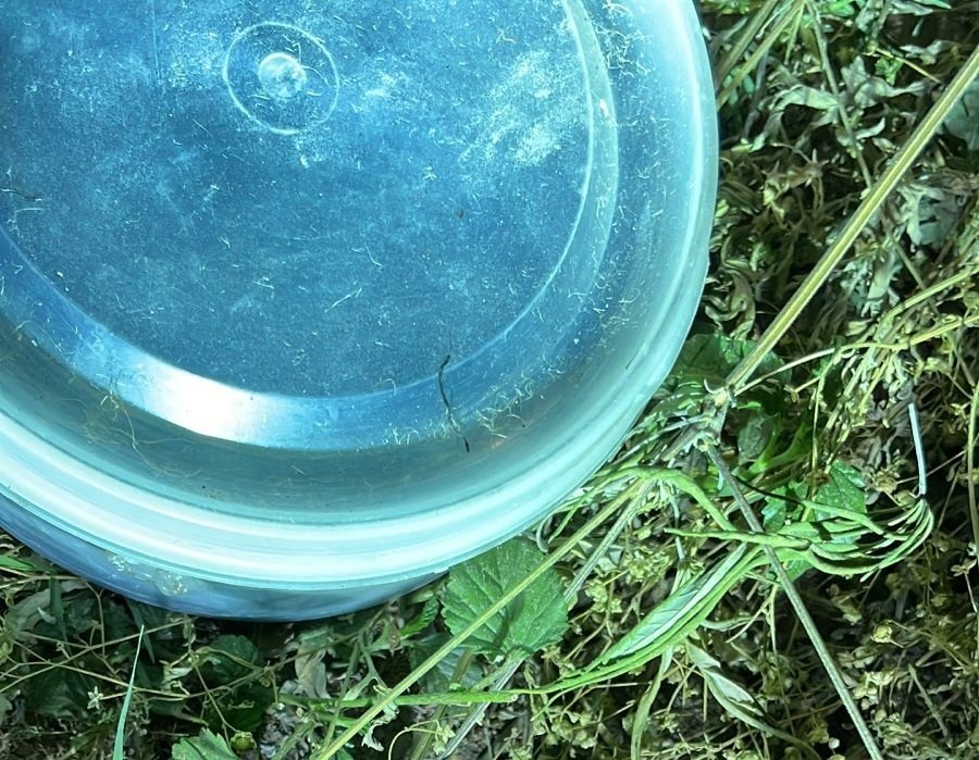 संदिग्ध विस्फोटक की सामने आई तस्वीर