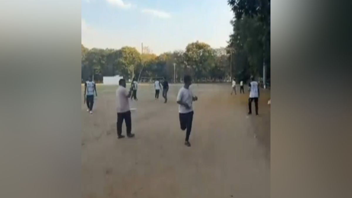 chandrapur bee attack cricket match dj noise death injured