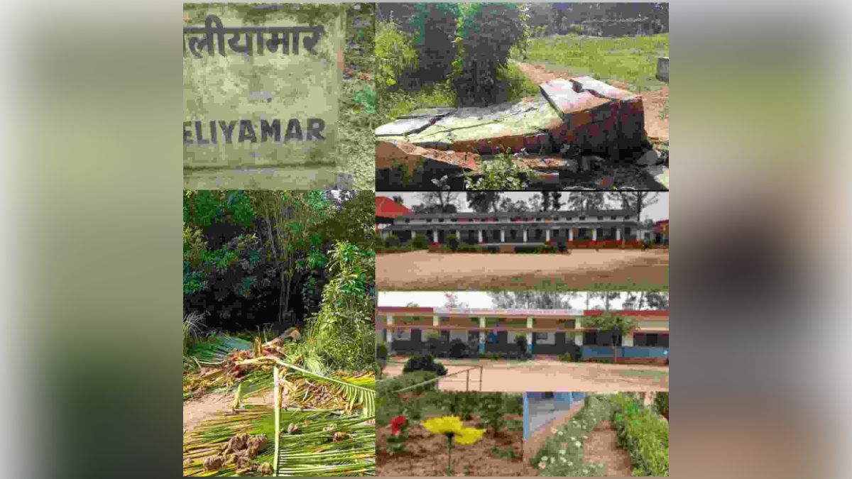 Chhattisgarh Elephant Rampage 53 Elephants Damage Mission School Crops Tusker Enters Jashpur Town