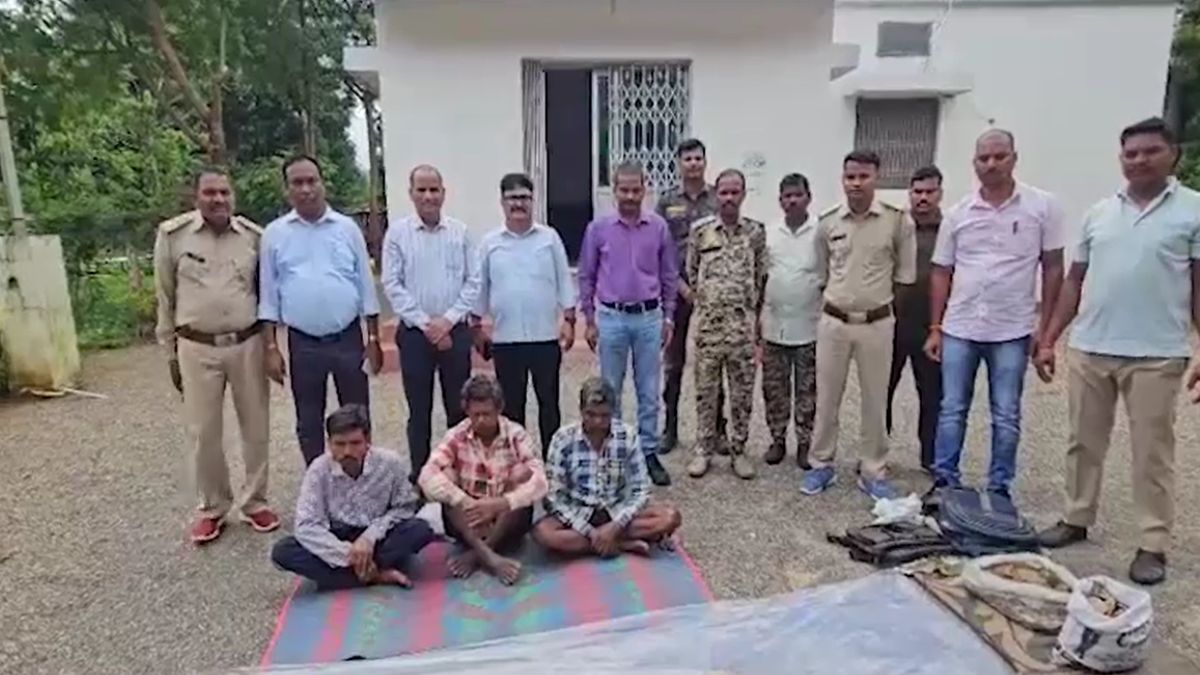 chhattisgarh surajpur three wildlife smugglers arrested tiger skin pangolin scales chhattisgarh surajpur three wildlife smugglers arrested tiger skin pangolin scales
