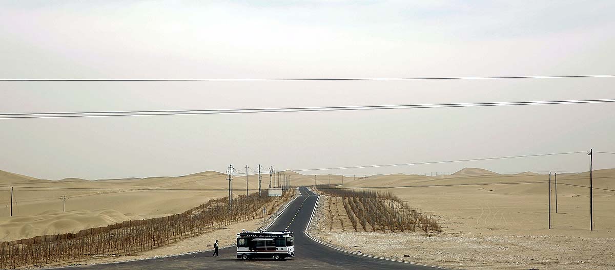 China Desert Plantation China Desert Plantation