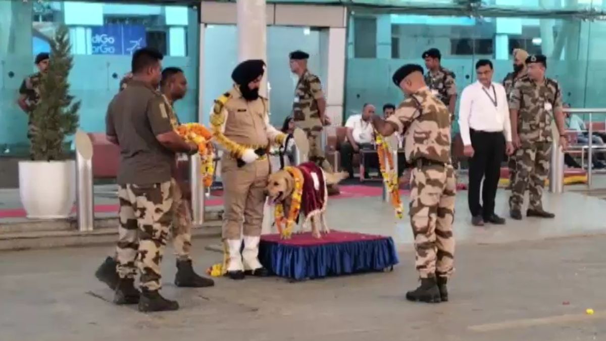 cisf sniffer dog max retirement amritsar airport heart touching story