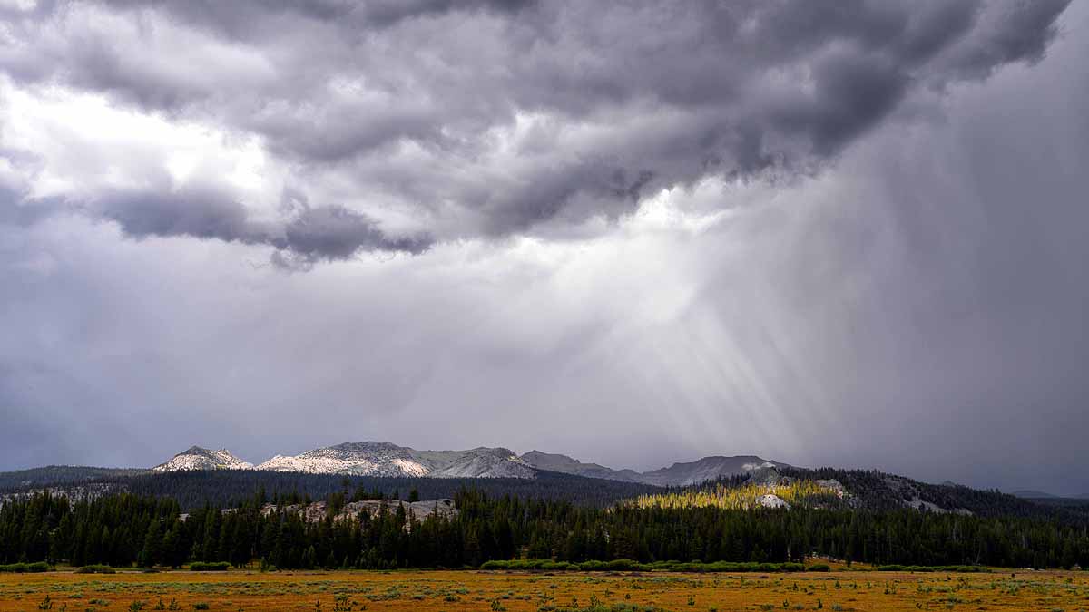 himalayan cloud heavy metal