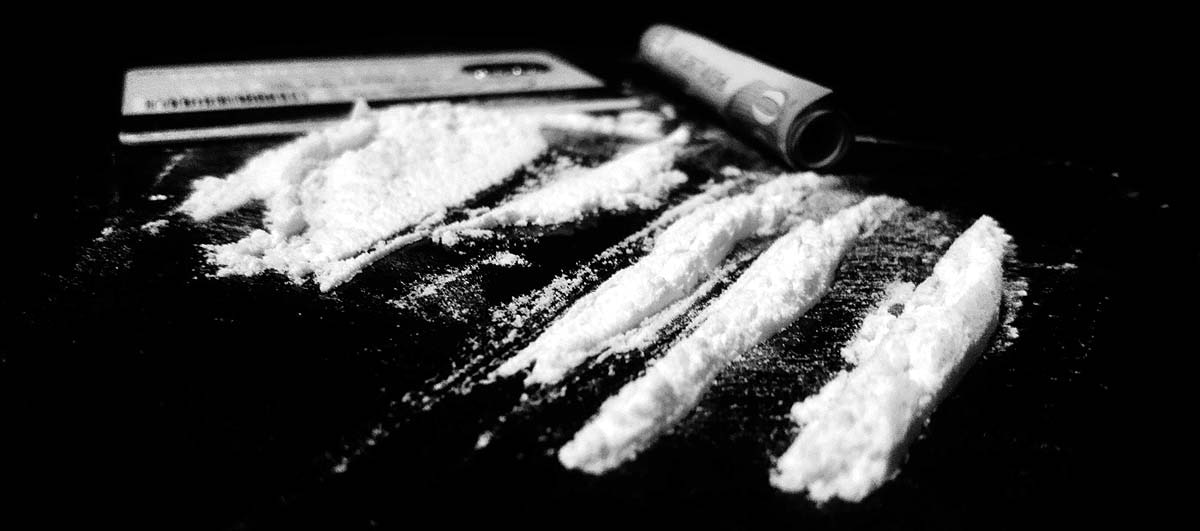 Cocaine pollution salmon wanderlust