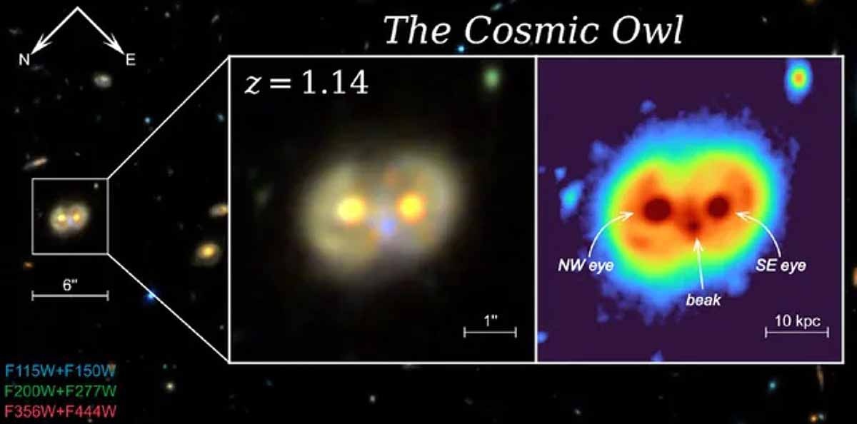 Cosmic Owl James Webb Space Telescope