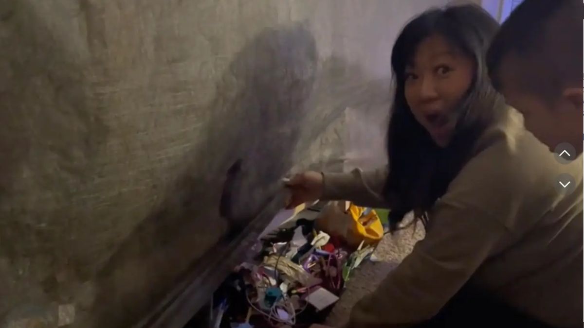 सोफे के भीतर मिला कचरा और खोई चीजें (तस्वीर- सोशल मीडिया)