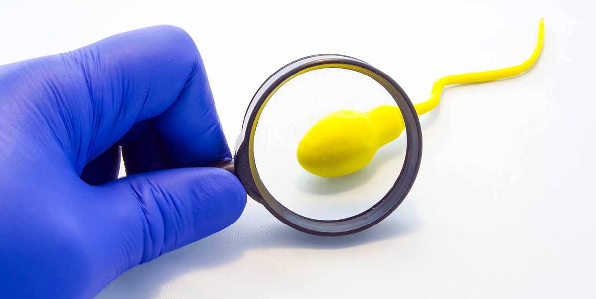  covid sperm infection