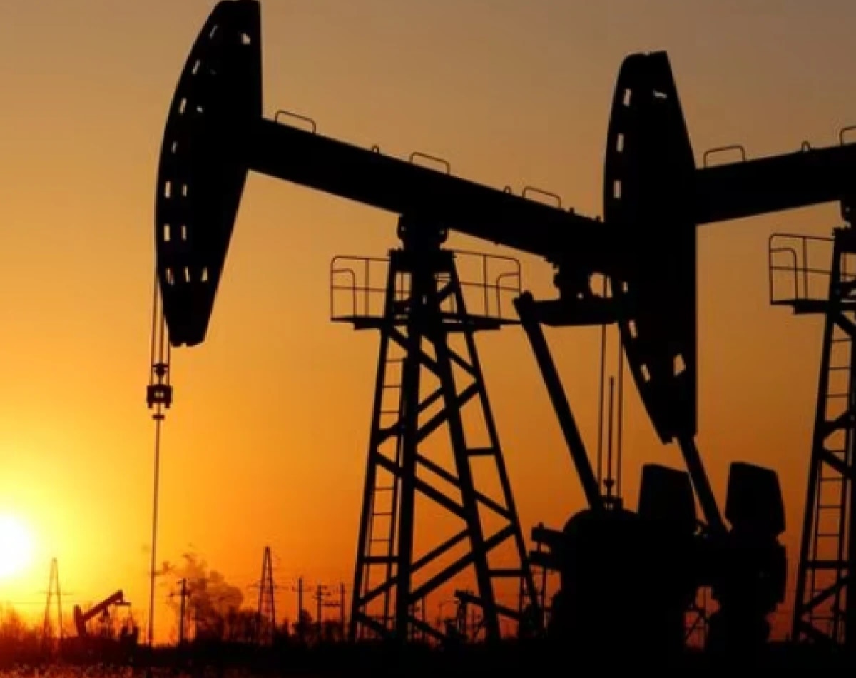 Crude Oil Import (File Photo)