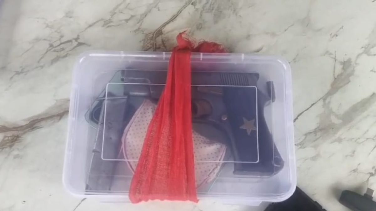 darbhanga woman arrest pistol reel viral police recover weapon cartridges