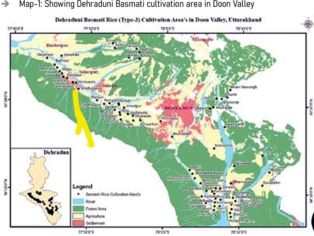 Dehradun Basmati Crop Reduction