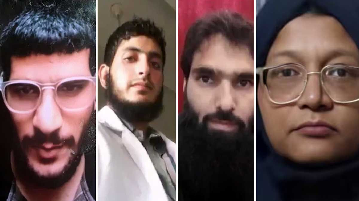 White Collar Terror Network