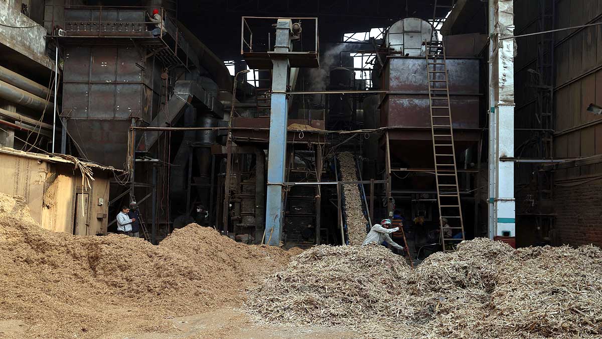 Delhi Coal Biomass
