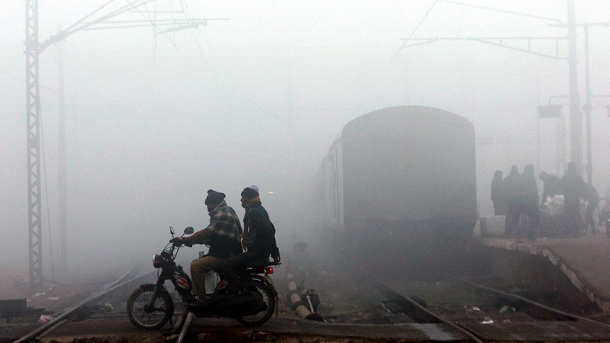 Delhi Coldwave Delhi Coldwave