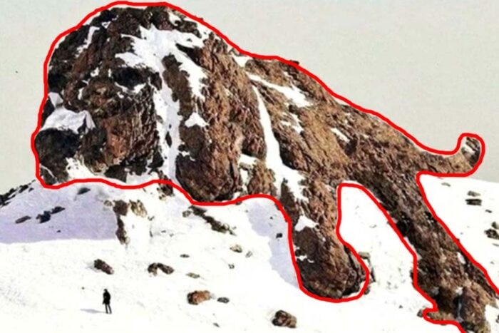 Visual quiz challenge