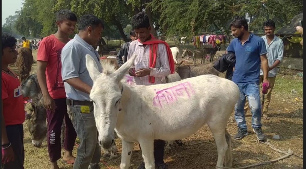 उज्जैन में लगे मेले में गधों के साथ पहुंचे व्यापारी व खरीदार   फोटो: आजतक