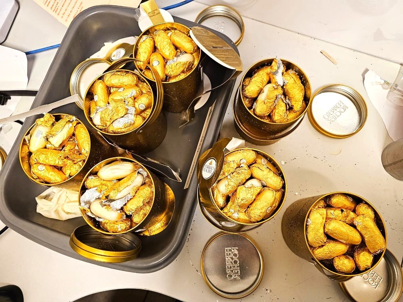 NCB Seized Cocaine in Chennai NCB Seized Cocaine in Chennai