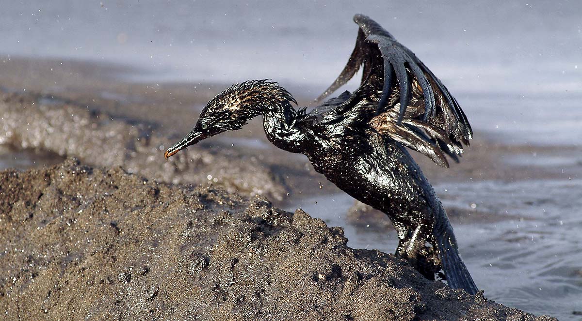 Kuwaiti Oil Tanker Attack