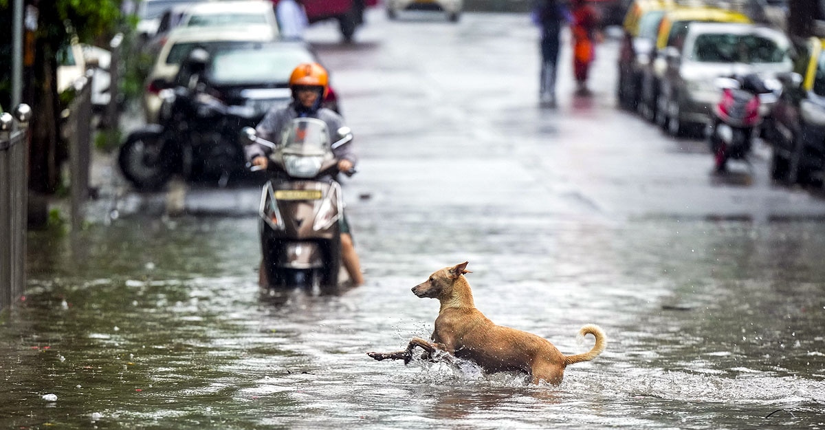 Early monsoon
