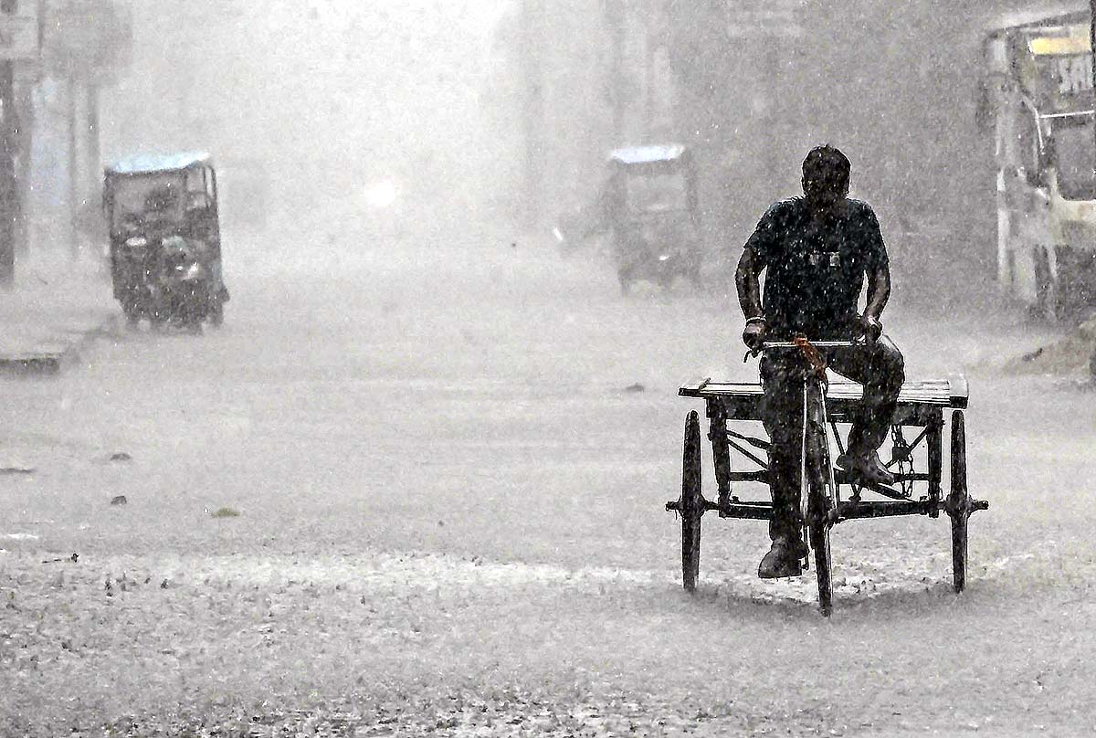  extreme el nino brings climate bomb
