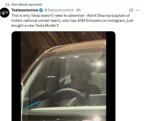 elon