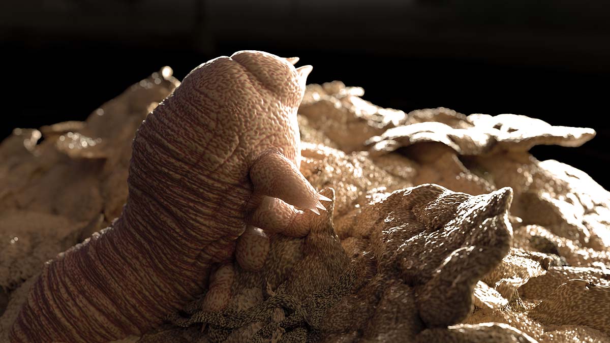 Face Mites Face Mites