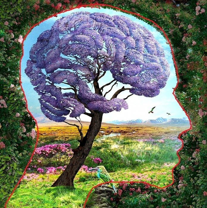 इंसान का चेहरा