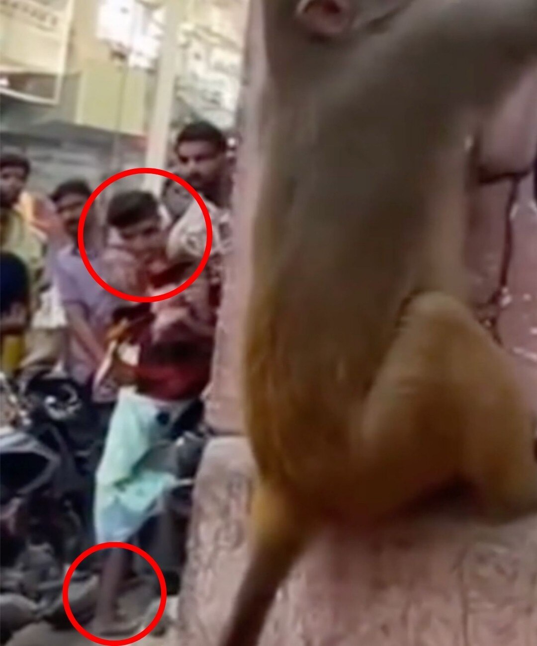 Fact Check 2nd Image