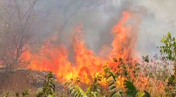 IMD का अनुमान