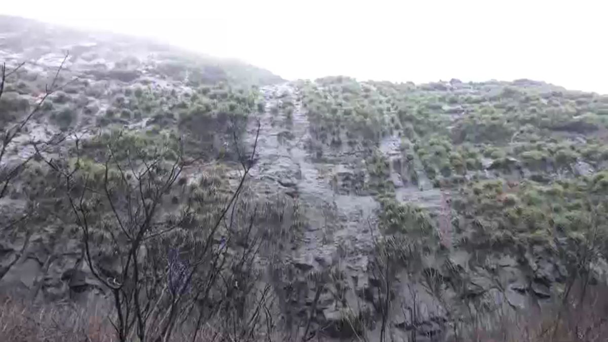 First Siya then Chetan it takes 25 minutes to reach spot below fort where Ketan fell First Siya then Chetan it takes 25 minutes to reach spot below fort where Ketan fell