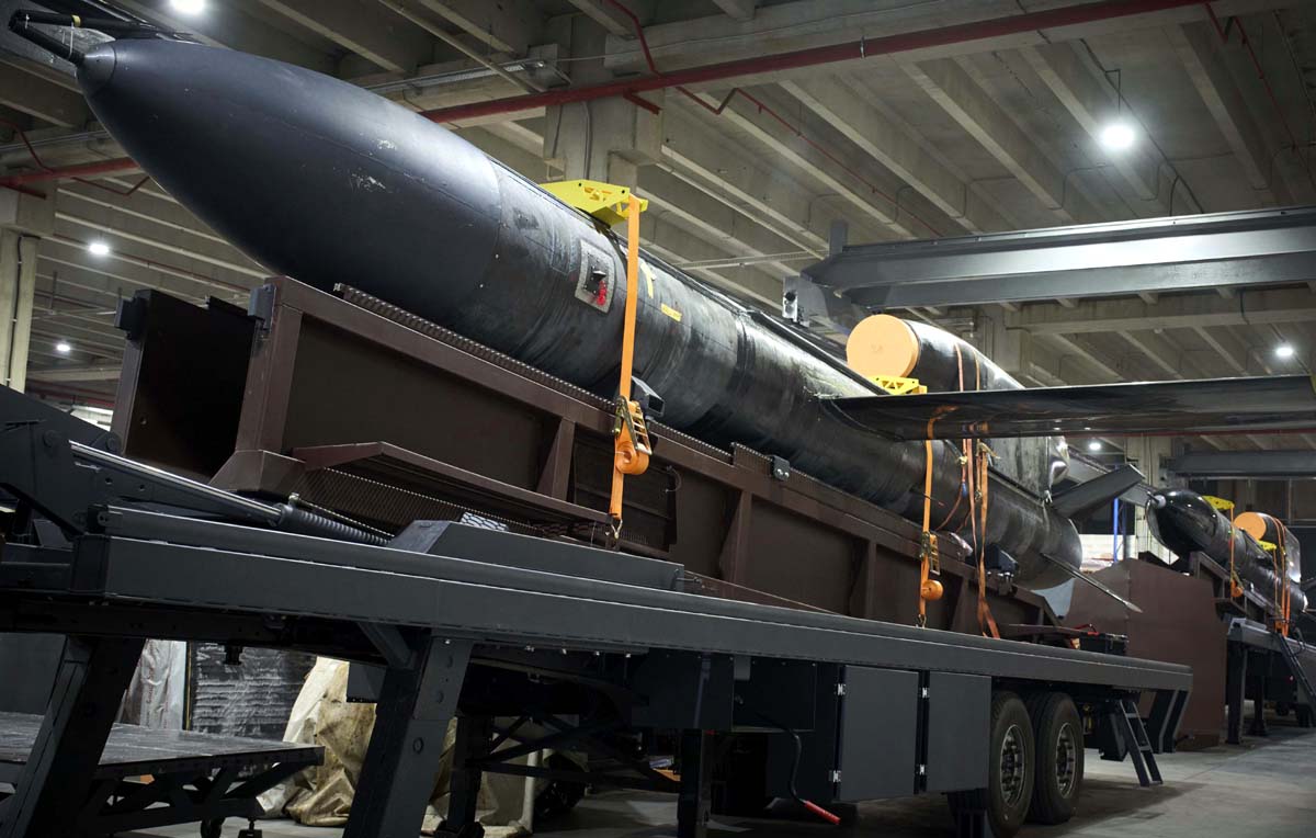 ukraine attack russia flamingo missile