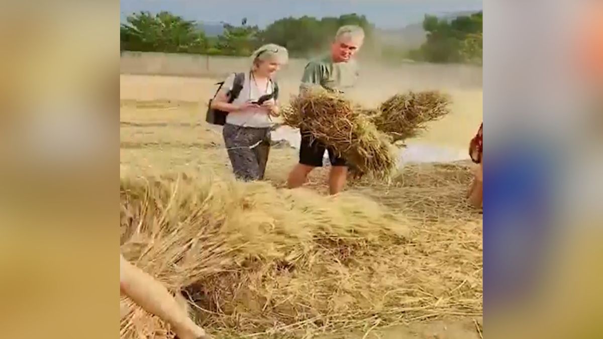 french tourists work with farmers alwar rajasthan dance video viral french tourists work with farmers alwar rajasthan dance video viral