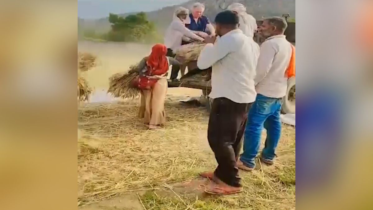french tourists work with farmers alwar rajasthan dance video viral french tourists work with farmers alwar rajasthan dance video viral