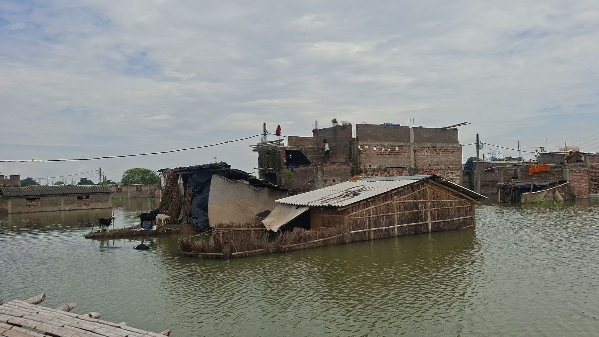 ganga floods wreck bhagalpur munger ground report