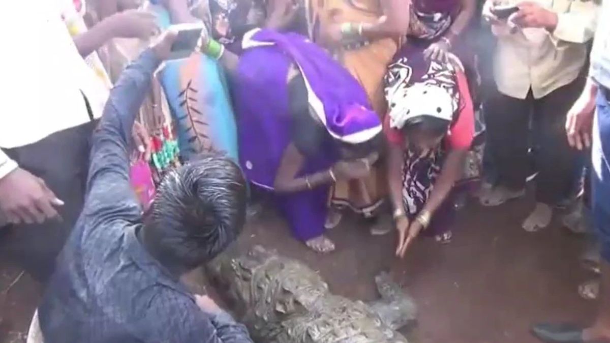 gangaram crocodile vs bahraich crocodile two faces of human crocodile relationship
