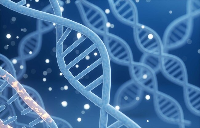 are humans connected to alien what is directed panspermia photo Getty Images