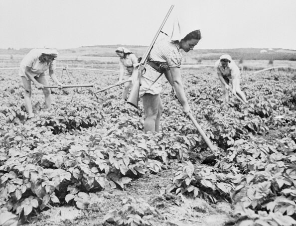 डेगान्या में काम करती हुई महिलाएं (फाइल फोटो-गेटी)