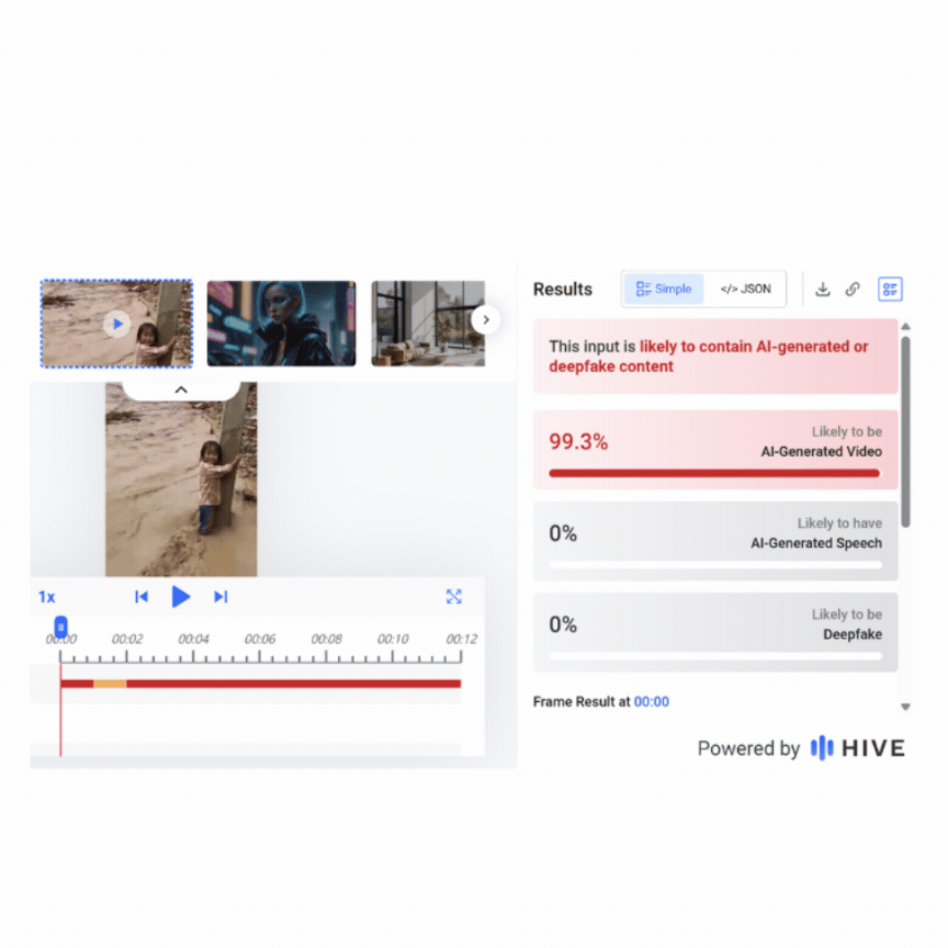 Nepal Fake Video