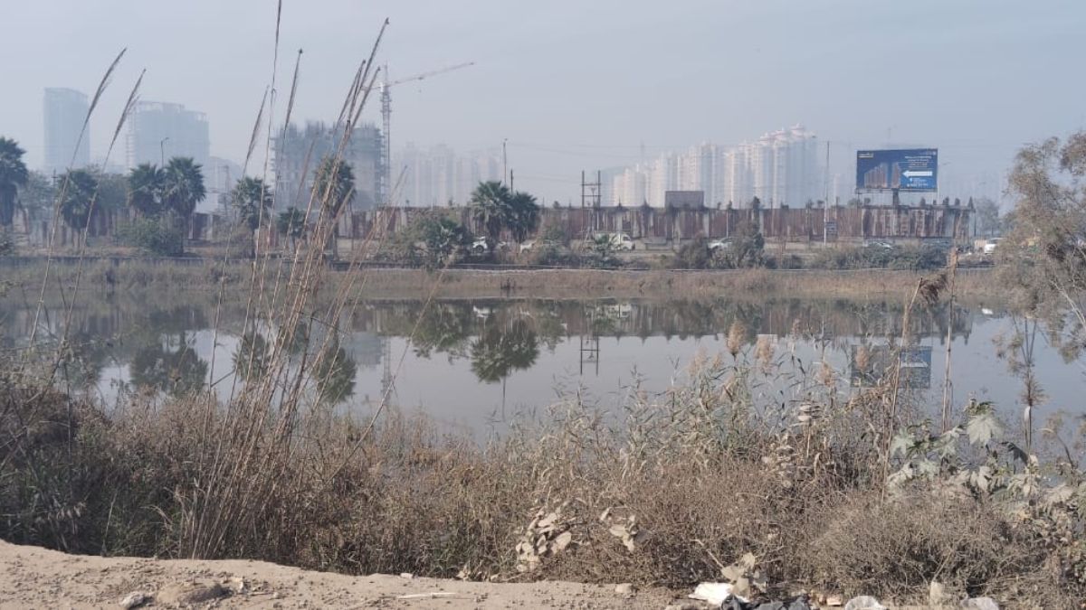 greater noida car falls into drain software engineer dies rescue delay