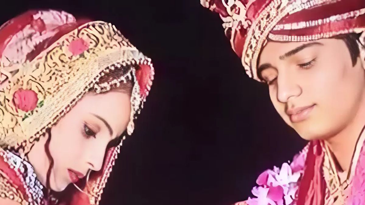 greater noida nikki dowry murder mercedes